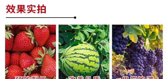 进口果顿普蓓·优钙-功能性水溶叶面肥微肥-亚瑟夫 进口果顿普蓓·优钙-功能性水溶叶面肥微肥-亚瑟夫