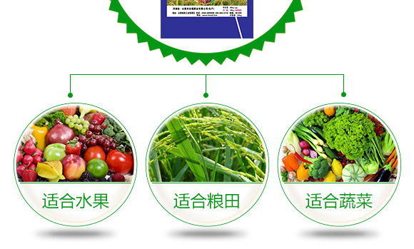 有机-无机掺混肥料20-15-15-撒有福-农友福 有机-无机掺混肥料20-15-15-撒有福-农友福