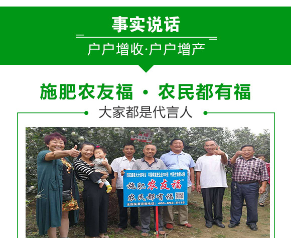 有机-无机掺混肥料20-15-15-撒有福-农友福 有机-无机掺混肥料20-15-15-撒有福-农友福