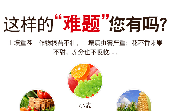 灞变笢鍐滀匠涓鐢熺墿绉戞妧鏈夐檺鍏徃鐢诲唽_04.jpg 灞变笢鍐滀匠涓鐢熺墿绉戞妧鏈夐檺鍏徃鐢诲唽_04.jpg