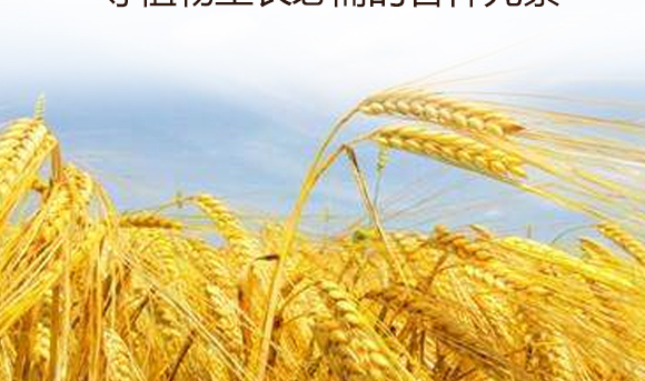 灞变笢鍐滀匠涓鐢熺墿绉戞妧鏈夐檺鍏徃鐢诲唽_09.jpg 灞变笢鍐滀匠涓鐢熺墿绉戞妧鏈夐檺鍏徃鐢诲唽_09.jpg