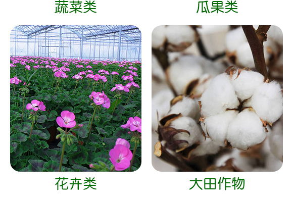 瑗垮畨鐟為偊鍖栧伐鏈夐檺鍏徃浜у搧璇︽儏椤?_05.jpg 瑗垮畨鐟為偊鍖栧伐鏈夐檺鍏徃浜у搧璇︽儏椤?_05.jpg