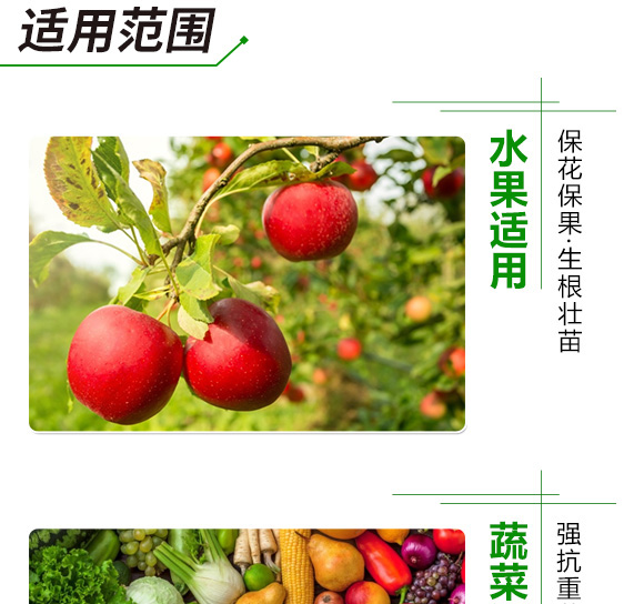 多肽多酶掺混肥料27-13-8-润田保-加阳 多肽多酶掺混肥料27-13-8-润田保-加阳