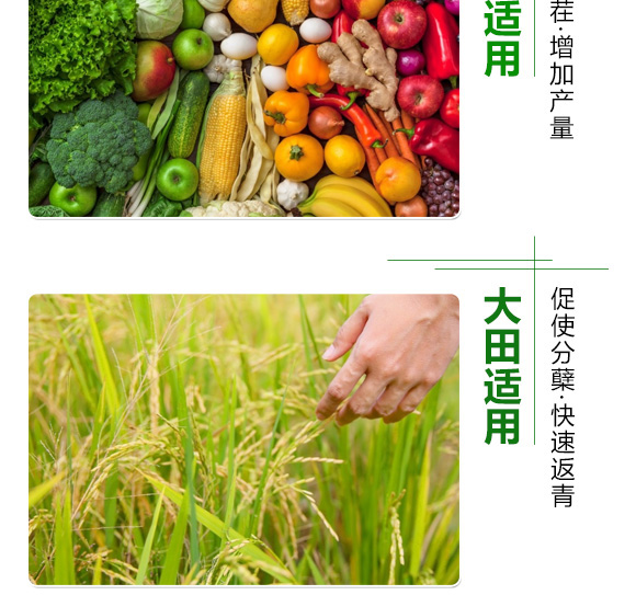 多肽多酶掺混肥料27-13-8-润田保-加阳 多肽多酶掺混肥料27-13-8-润田保-加阳