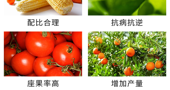 复合肥料27-13-10-土蜘蛛-根力宝 复合肥料27-13-10-土蜘蛛-根力宝