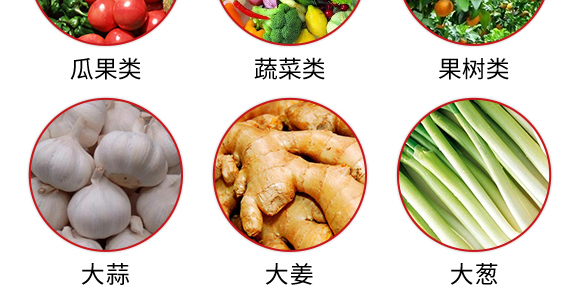 复合肥料27-13-10-土蜘蛛-根力宝 复合肥料27-13-10-土蜘蛛-根力宝