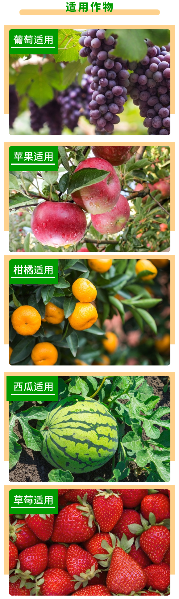 原生态腐植酸-根力达-金正生物 原生态腐植酸-根力达-金正生物