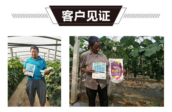 磷钾二代-一挡百-邦尔泰_06.jpg 磷钾二代-一挡百-邦尔泰_06.jpg