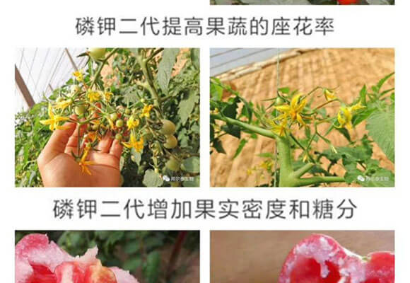 磷钾二代-一挡百-邦尔泰_08.jpg 磷钾二代-一挡百-邦尔泰_08.jpg