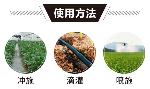 磷钾二代-一挡百-邦尔泰_11.jpg 磷钾二代-一挡百-邦尔泰_11.jpg