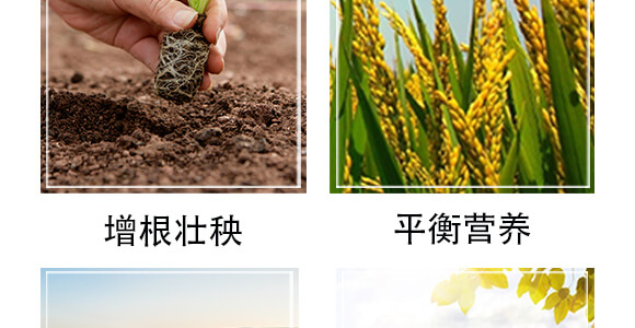 榛勮厫閰镐腑寰湁鏈鸿偉鏂?灏忛粦鍔?鍐滀匠涓_06.jpg 榛勮厫閰镐腑寰湁鏈鸿偉鏂?灏忛粦鍔?鍐滀匠涓_06.jpg