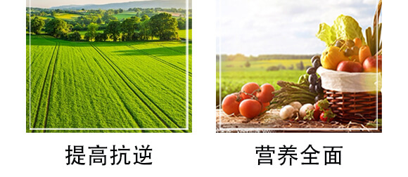 榛勮厫閰镐腑寰湁鏈鸿偉鏂?灏忛粦鍔?鍐滀匠涓_07.jpg 榛勮厫閰镐腑寰湁鏈鸿偉鏂?灏忛粦鍔?鍐滀匠涓_07.jpg
