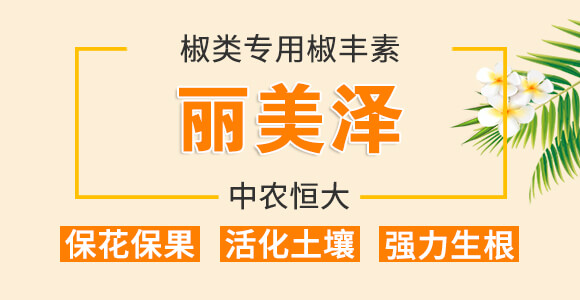 妞掔被涓撶敤妞掍赴绱?涓界編娉?涓啘鎭掑ぇ_01.jpg 妞掔被涓撶敤妞掍赴绱?涓界編娉?涓啘鎭掑ぇ_01.jpg