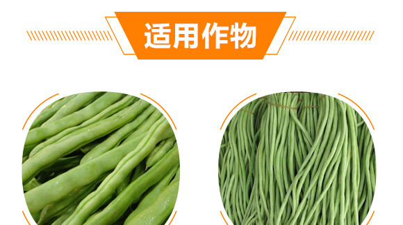 璞嗚涓撶敤璞嗘弧鏋?涓界編娉?涓啘鎭掑ぇ_08.jpg 璞嗚涓撶敤璞嗘弧鏋?涓界編娉?涓啘鎭掑ぇ_08.jpg