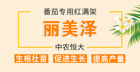 鐣寗涓撶敤绾㈡弧鏋?涓界編娉?涓啘鎭掑ぇ.jpg 鐣寗涓撶敤绾㈡弧鏋?涓界編娉?涓啘鎭掑ぇ.jpg