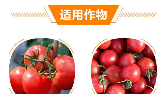 鐣寗涓撶敤绾㈡弧鏋?涓界編娉?涓啘鎭掑ぇ_08.jpg 鐣寗涓撶敤绾㈡弧鏋?涓界編娉?涓啘鎭掑ぇ_08.jpg