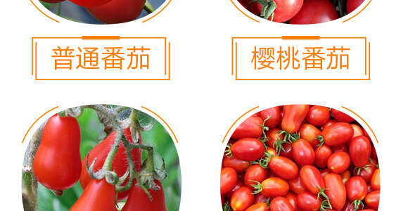 鐣寗涓撶敤绾㈡弧鏋?涓界編娉?涓啘鎭掑ぇ_09.jpg 鐣寗涓撶敤绾㈡弧鏋?涓界編娉?涓啘鎭掑ぇ_09.jpg