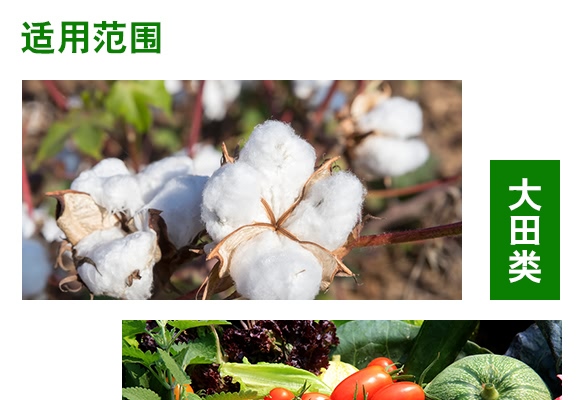 矿质络合钙-中农奥邦 矿质络合钙-中农奥邦