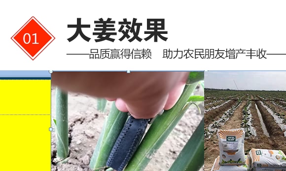 硝基复合肥16-8-21-九星惠农 硝基复合肥16-8-21-九星惠农