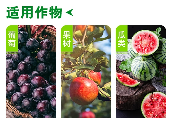 复合肥料15-6-26-沃鲁特 复合肥料15-6-26-沃鲁特