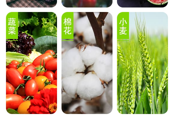 复合肥料15-6-26-沃鲁特 复合肥料15-6-26-沃鲁特