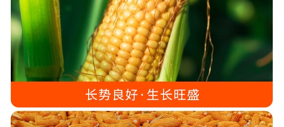 掺混肥料28-10-12(红色)-沃丰 掺混肥料28-10-12(红色)-沃丰