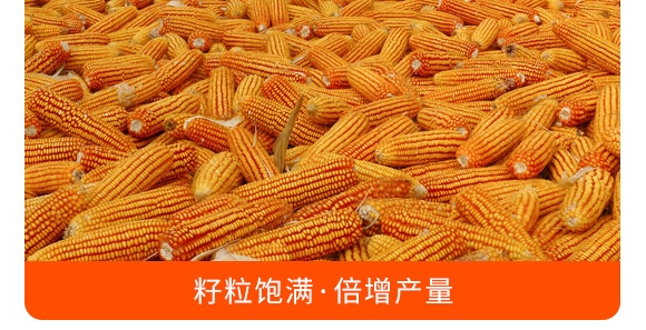 掺混肥料28-10-12(红色)-沃丰 掺混肥料28-10-12(红色)-沃丰