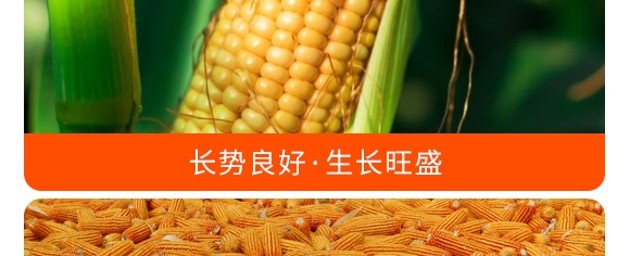掺混肥料28-10-12(蓝色)-沃丰 掺混肥料28-10-12(蓝色)-沃丰