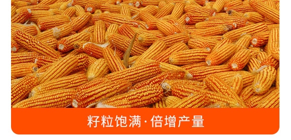 掺混肥料28-10-12(蓝色)-沃丰 掺混肥料28-10-12(蓝色)-沃丰
