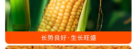 掺混肥料28-10-12(绿色)-沃丰 掺混肥料28-10-12(绿色)-沃丰