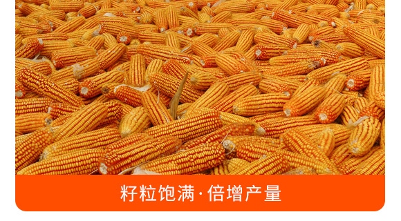 掺混肥料28-10-12(绿色)-沃丰 掺混肥料28-10-12(绿色)-沃丰