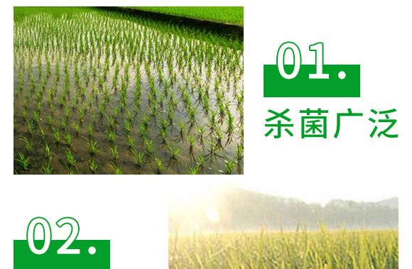 3%甲霜·噁霉灵水剂-护将-长双农药 3%甲霜·噁霉灵水剂-护将-长双农药