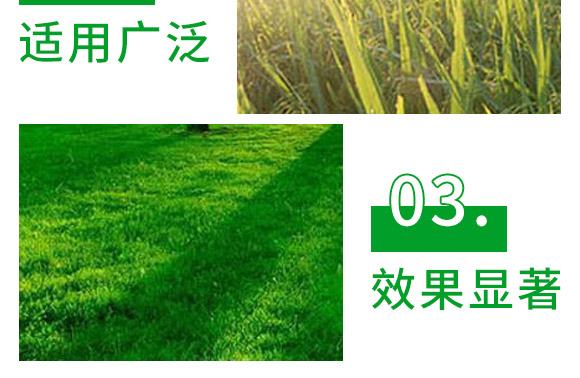 3%甲霜·噁霉灵水剂-护将-长双农药 3%甲霜·噁霉灵水剂-护将-长双农药