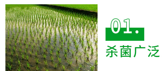 30%精甲·噁霉灵水剂-长双欣雷-长双农药 30%精甲·噁霉灵水剂-长双欣雷-长双农药