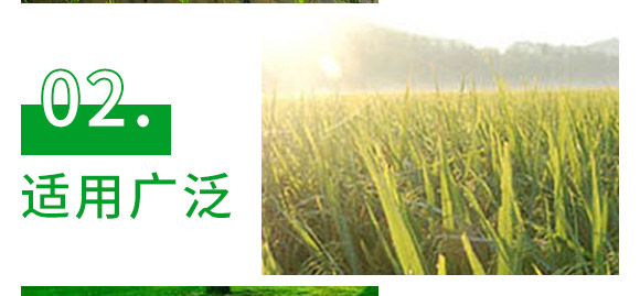 30%精甲·噁霉灵水剂-长双欣雷-长双农药 30%精甲·噁霉灵水剂-长双欣雷-长双农药