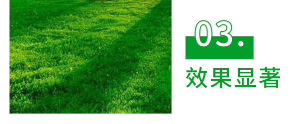 30%精甲·噁霉灵水剂-长双欣雷-长双农药 30%精甲·噁霉灵水剂-长双欣雷-长双农药
