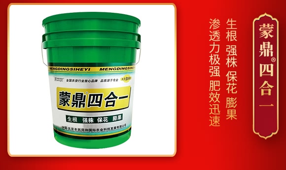 蒙鼎四合-活力加强型-丰民同和 蒙鼎四合-活力加强型-丰民同和
