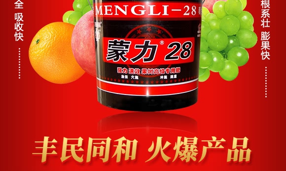 蒙力28-丰民同和 蒙力28-丰民同和