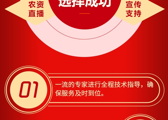 蒙力28-丰民同和 蒙力28-丰民同和