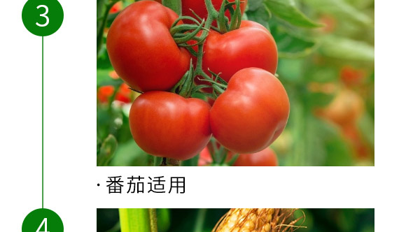 复合肥料15-15-15-粮在手-中储粮 复合肥料15-15-15-粮在手-中储粮
