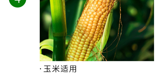 复合肥料15-15-15-粮在手-中储粮 复合肥料15-15-15-粮在手-中储粮