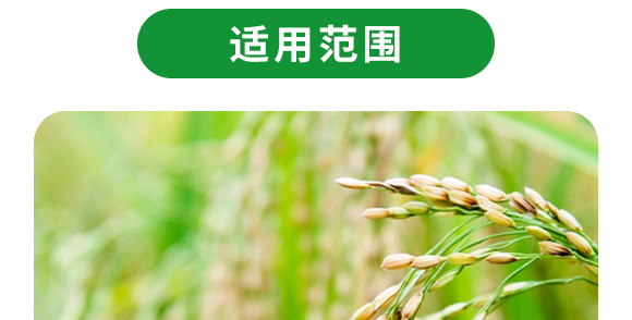 复合微生物菌剂-菌生金(2亿/克)-贵天化 复合微生物菌剂-菌生金(2亿/克)-贵天化