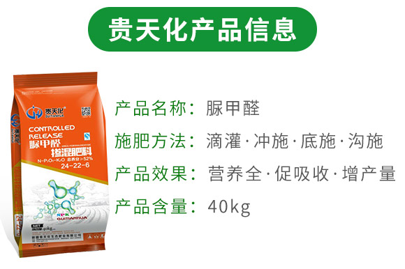 脲甲醛-缓释掺混肥料24-22-6-贵天化 脲甲醛-缓释掺混肥料24-22-6-贵天化
