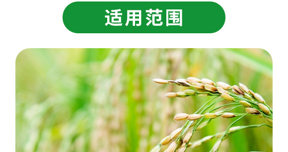 脲甲醛-缓释掺混肥料24-22-6-贵天化 脲甲醛-缓释掺混肥料24-22-6-贵天化