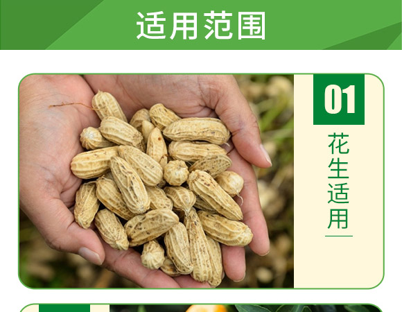含腐殖酸水溶肥料-叶菲聚能氮-德邦叶菲 含腐殖酸水溶肥料-叶菲聚能氮-德邦叶菲
