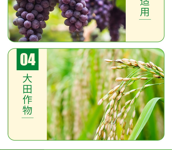 含腐殖酸水溶肥料-叶菲聚能氮-德邦叶菲 含腐殖酸水溶肥料-叶菲聚能氮-德邦叶菲