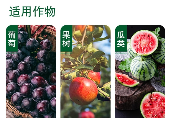 草铵膦水剂-白龙驹-土成金 草铵膦水剂-白龙驹-土成金