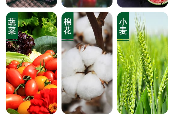 草铵膦水剂-白龙驹-土成金 草铵膦水剂-白龙驹-土成金