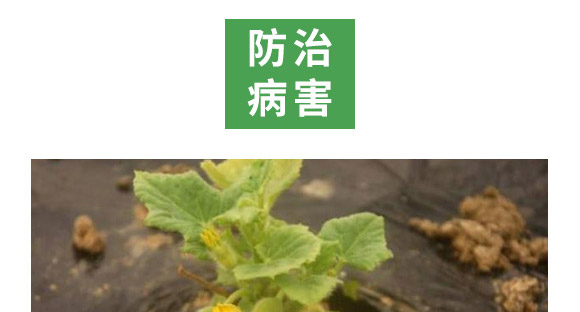 万稼能13元素(瓶装)-乾农 万稼能13元素(瓶装)-乾农
