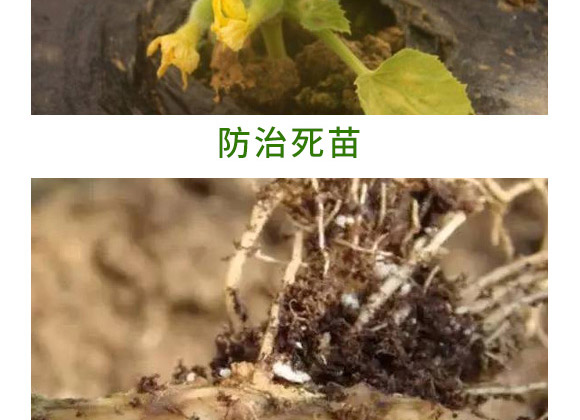 万稼能13元素(瓶装)-乾农 万稼能13元素(瓶装)-乾农